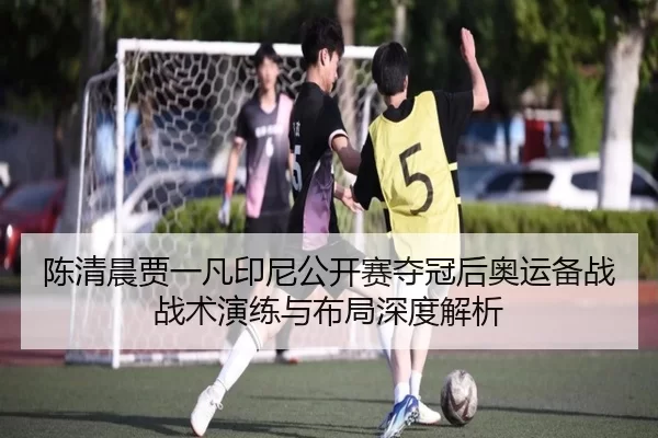 陈清晨贾一凡印尼公开赛夺冠后奥运备战战术演练与布局深度解析